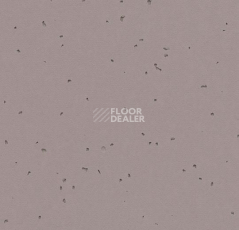 Линолеум Forbo Sphera Energetic 50219 dolphin фото 1 | FLOORDEALER